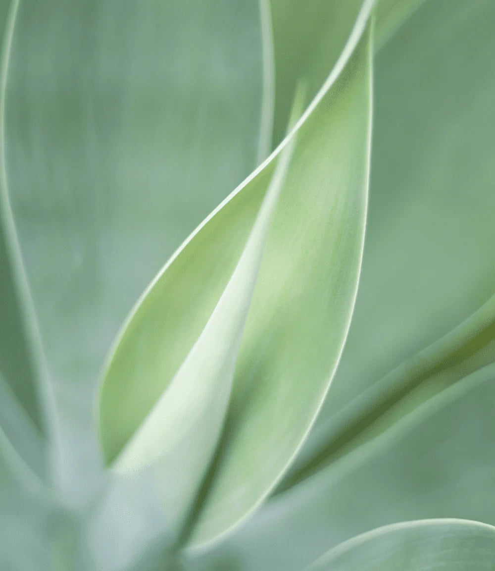 Botanical private label category