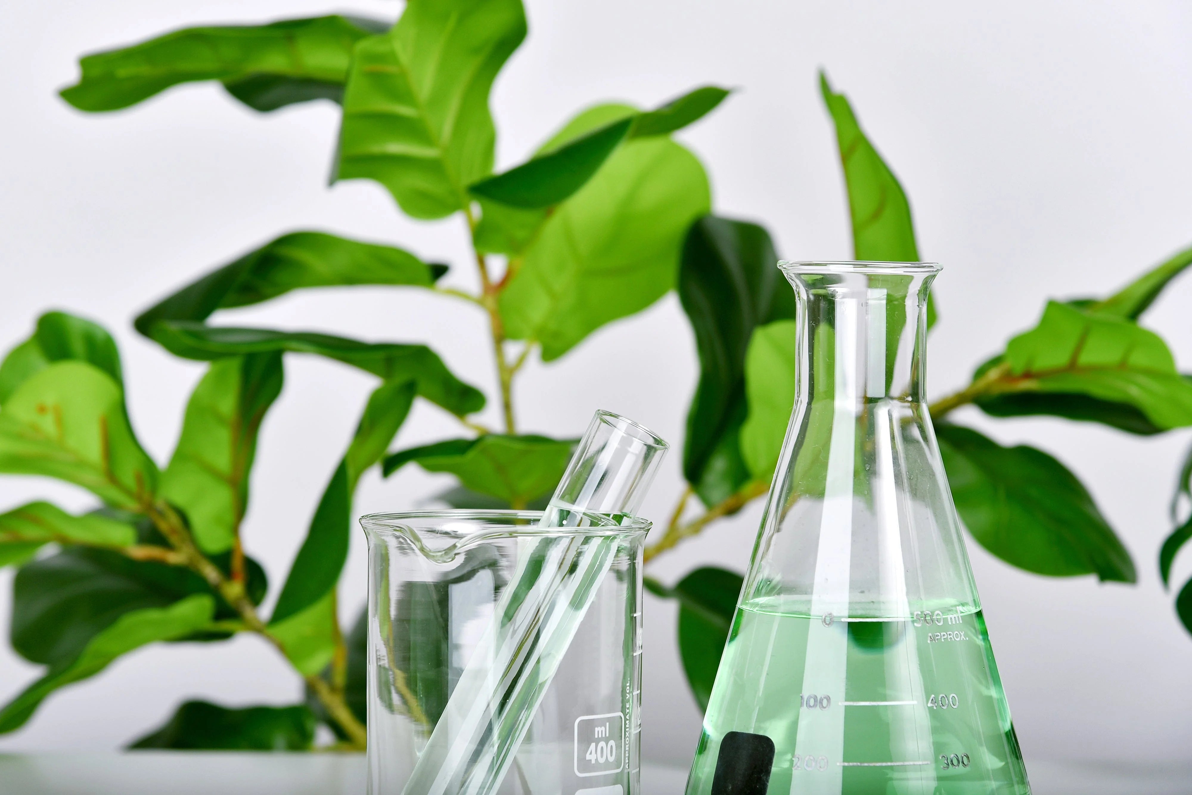 Ingredient Lists