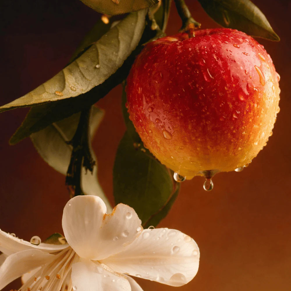 Fragrance Oils